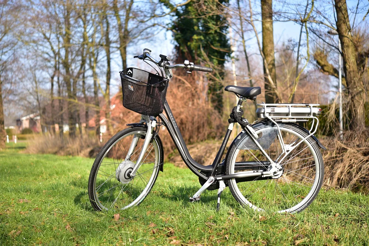 Acheter un vélo électrique d'occasion : batterie, moteur, marquage