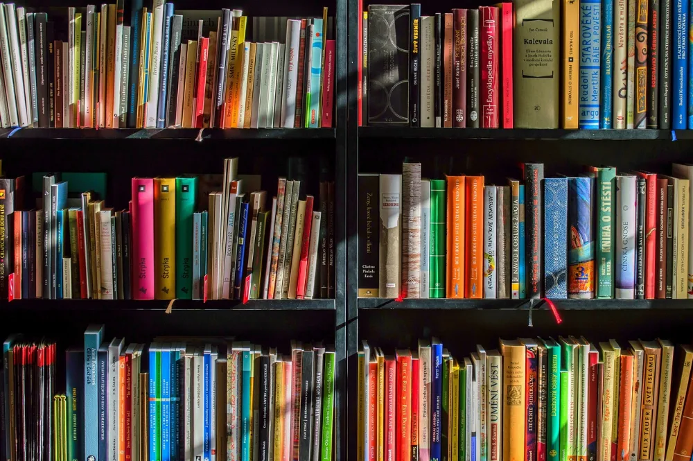 Librairie Les enfants de Libellune